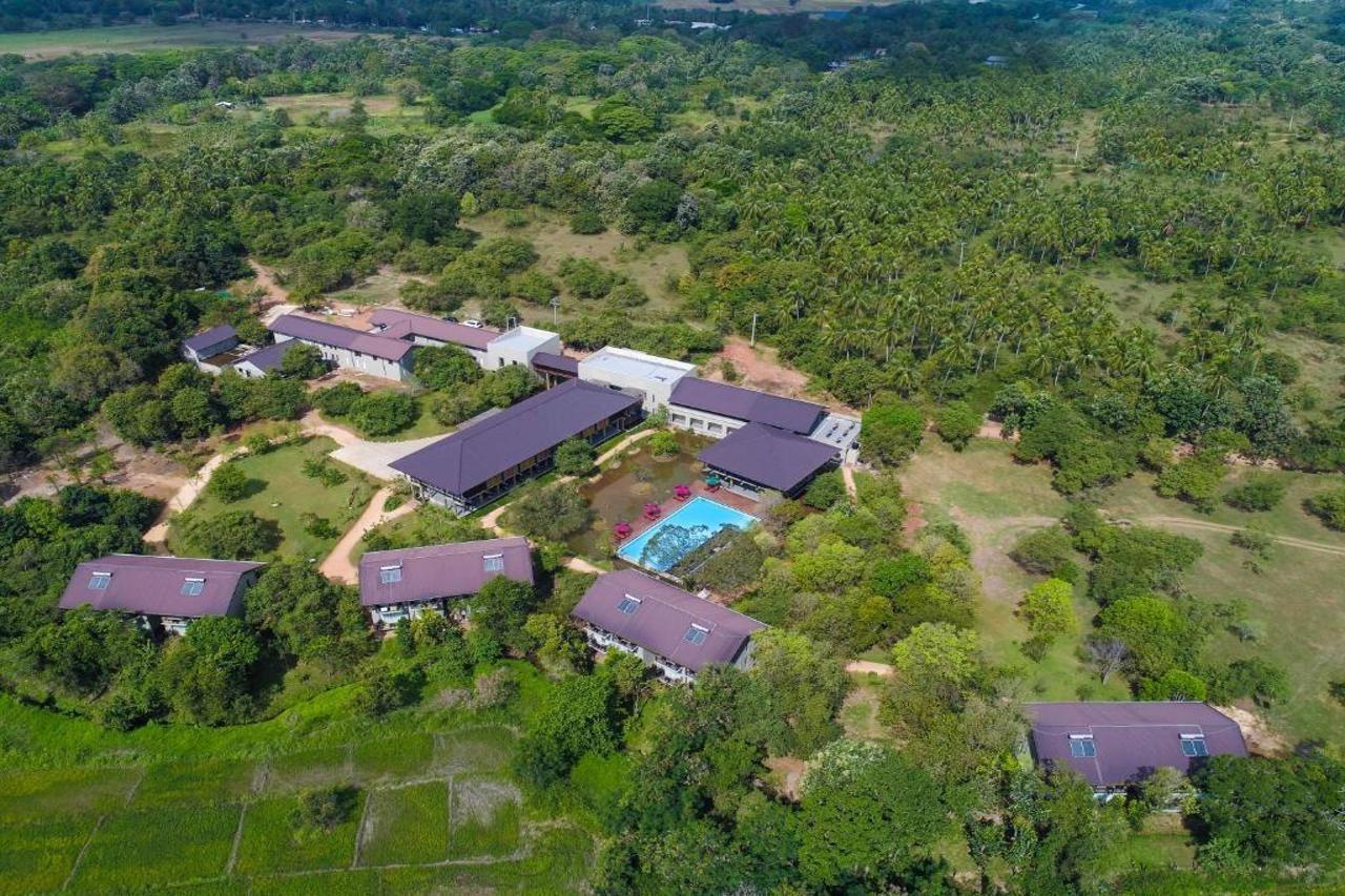 Tropical Life Resort And Spa Dambulla Eksteriør billede