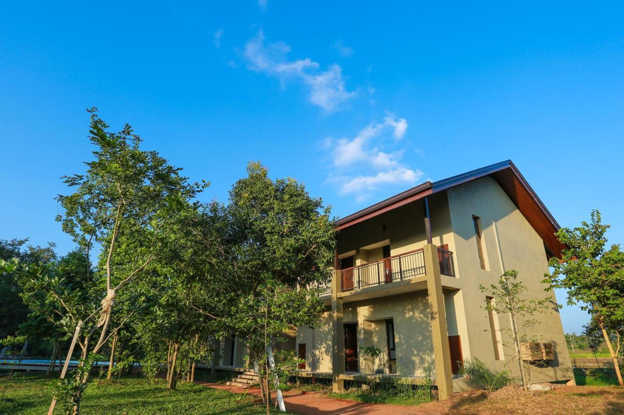 Tropical Life Resort And Spa Dambulla Eksteriør billede