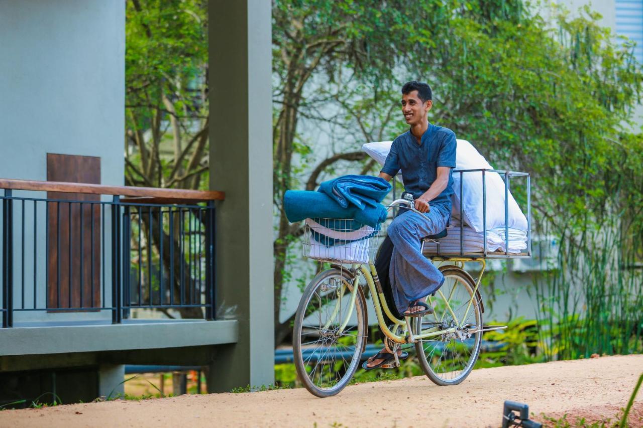 Tropical Life Resort And Spa Dambulla Eksteriør billede