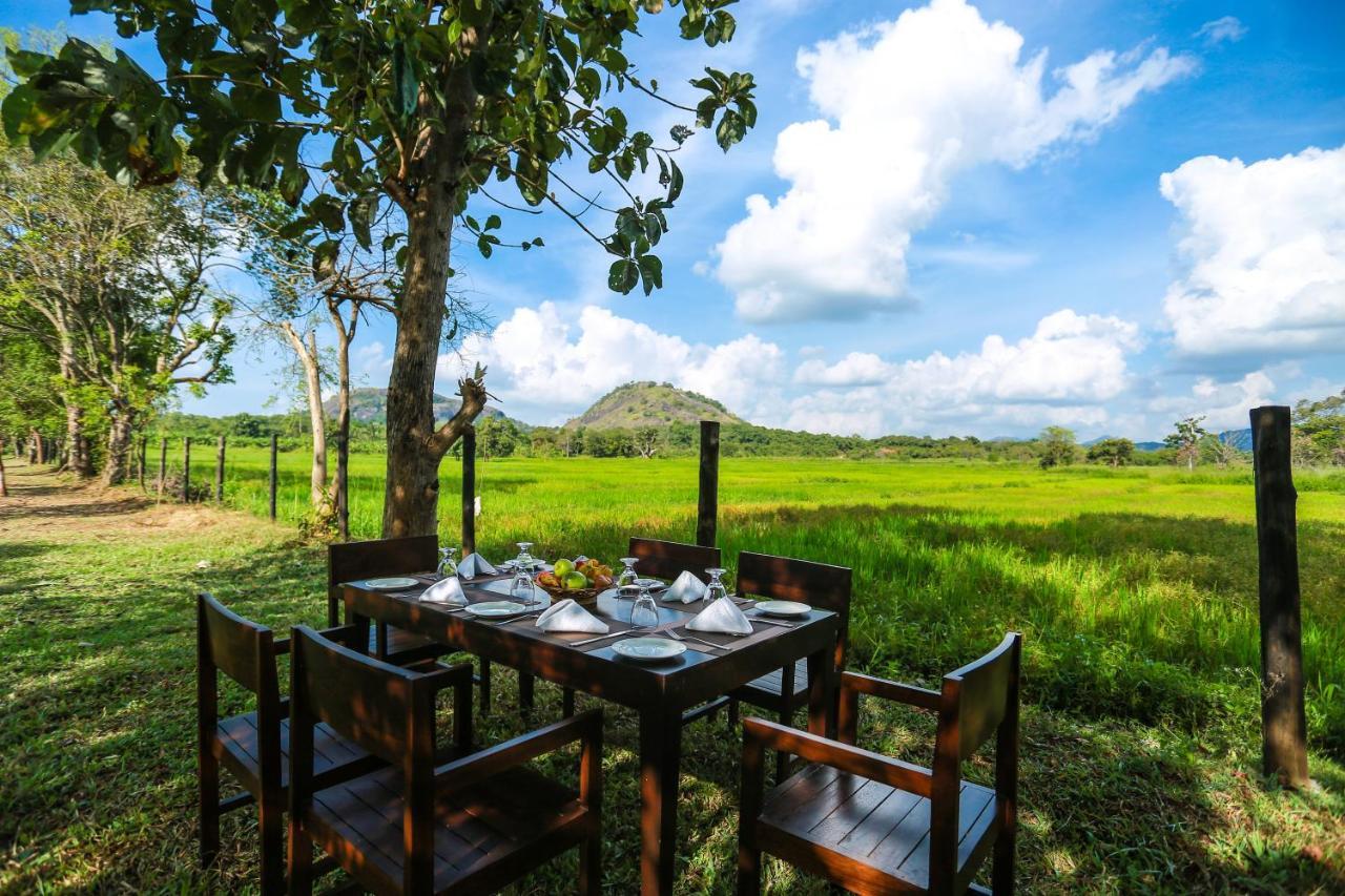 Tropical Life Resort And Spa Dambulla Eksteriør billede