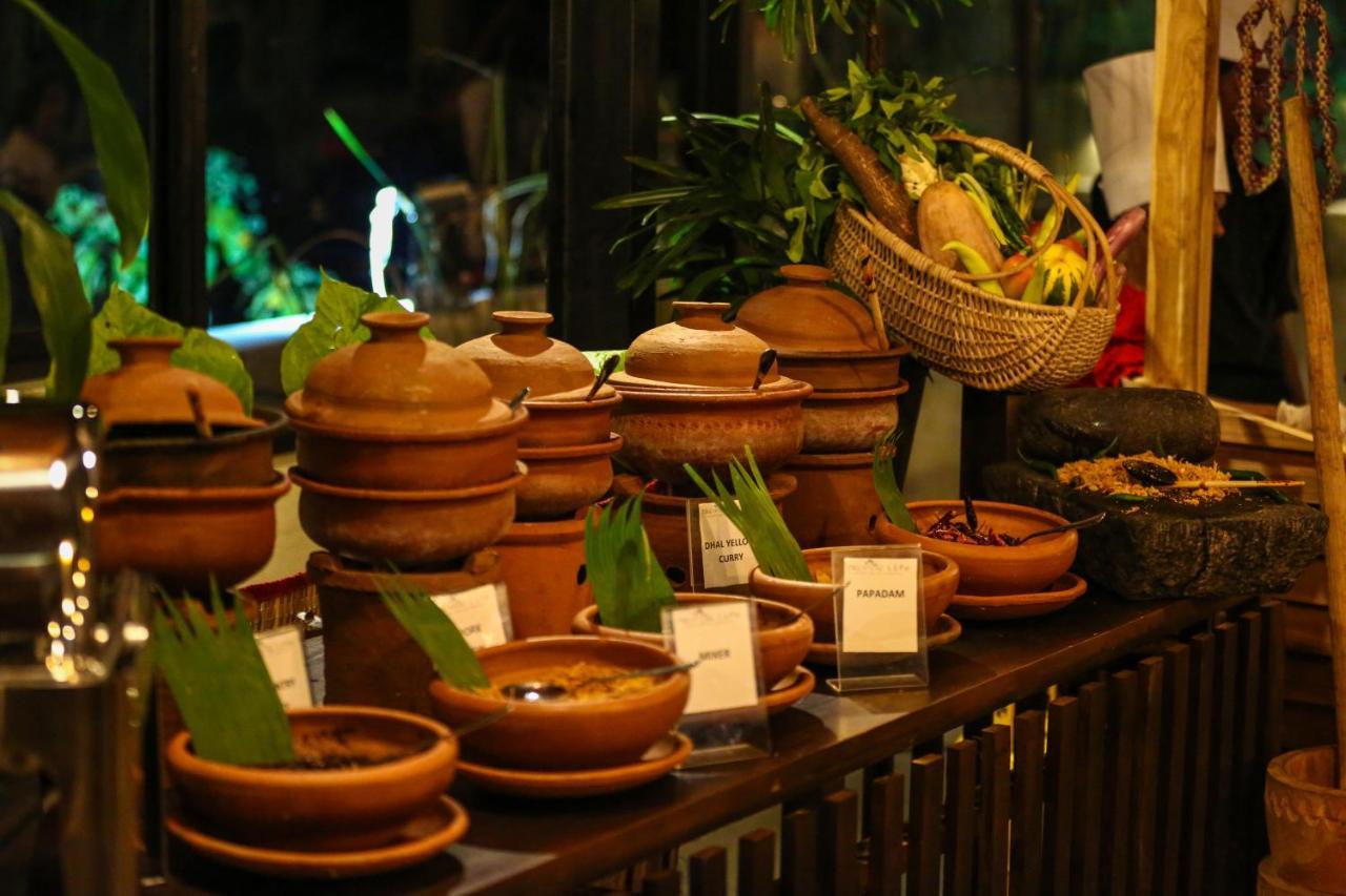 Tropical Life Resort And Spa Dambulla Eksteriør billede